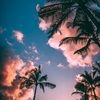 kaylen_m163